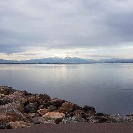 Cap Coudalere Lägenhet Le Barcarès Exteriör bild