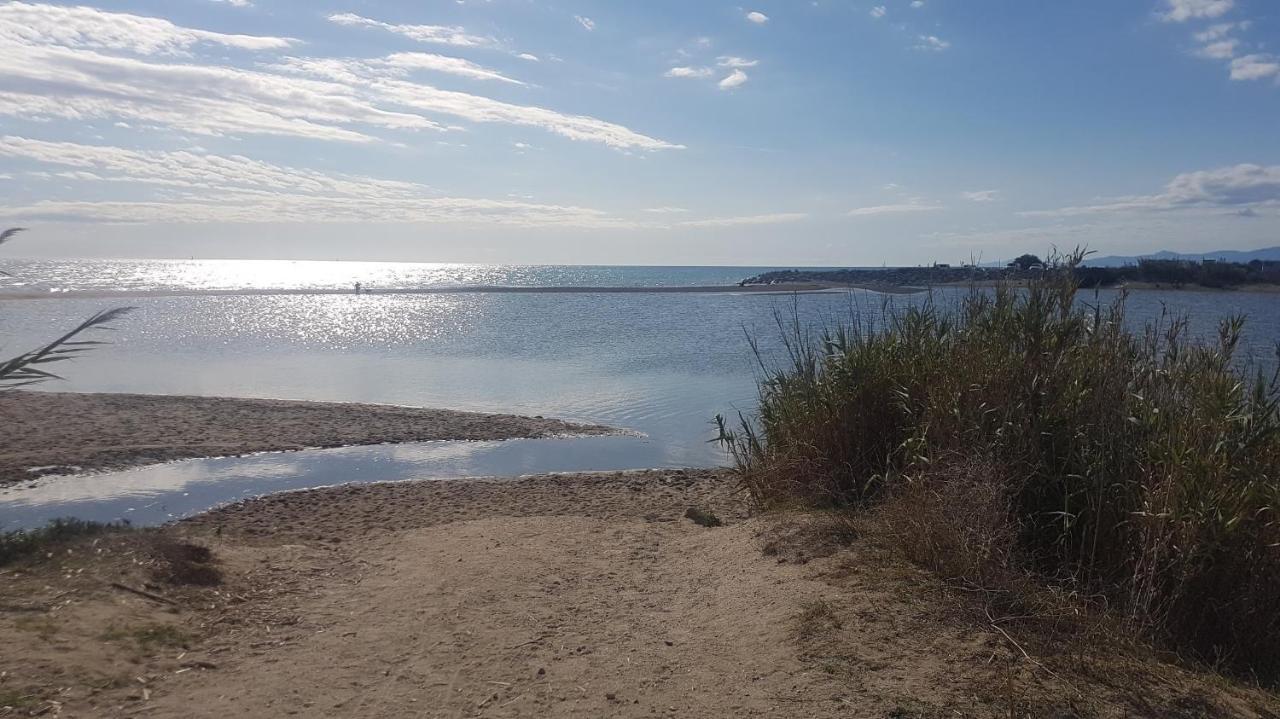 Cap Coudalere Lägenhet Le Barcarès Exteriör bild