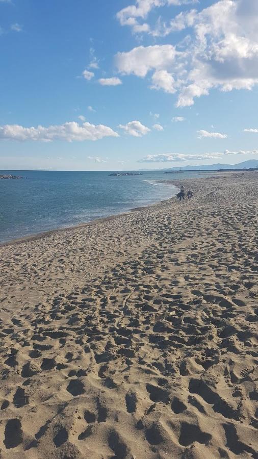 Cap Coudalere Lägenhet Le Barcarès Exteriör bild